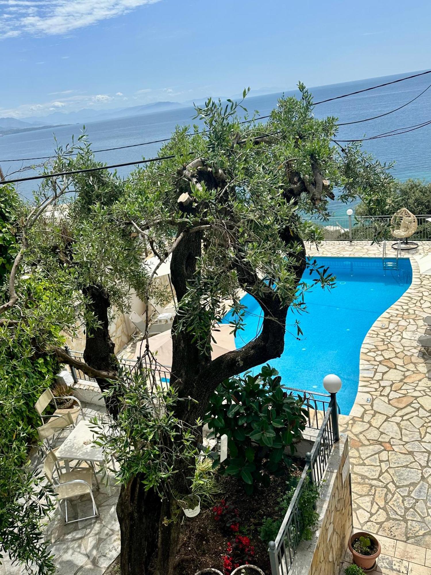 Vladimiros Apartments Barbati Ngoại thất bức ảnh